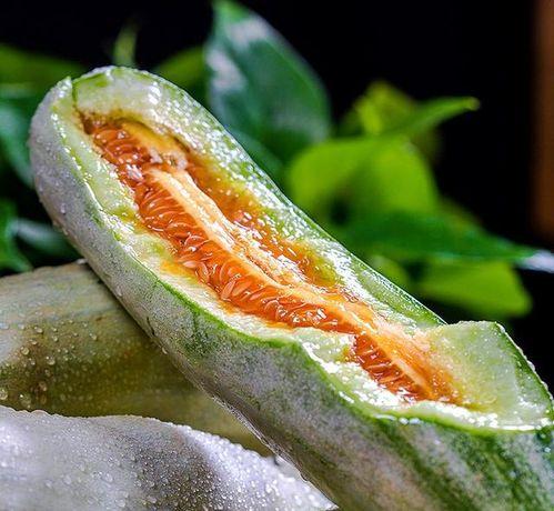 娱乐吃瓜作品有哪些类型,吃瓜群众的多元化娱乐作品类型大盘点 第1张 娱乐吃瓜作品有哪些类型,吃瓜群众的多元化娱乐作品类型大盘点 第1张